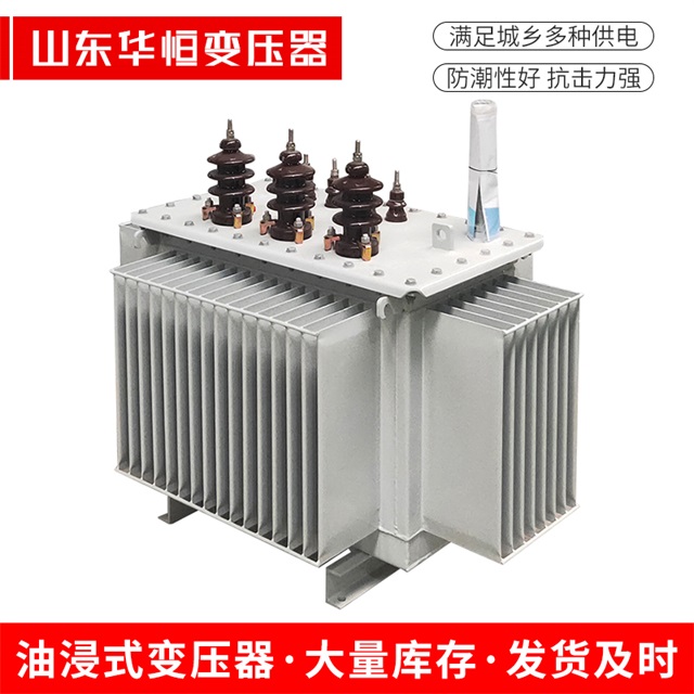 S13-10000/35南康南康南康油浸式变压器厂家